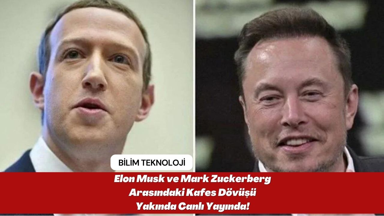 Elon Musk ve Mark Zuckerberg Arasındaki Kafes Dövüşü Yakında Canlı Yayında!