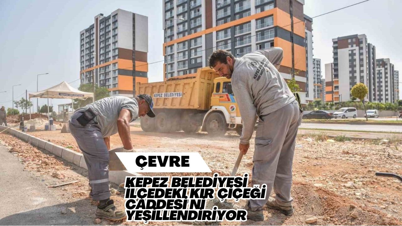 Kepez Belediyesi İlçedeki Kır Çiçeği Caddesi'ni Yeşillendiriyor