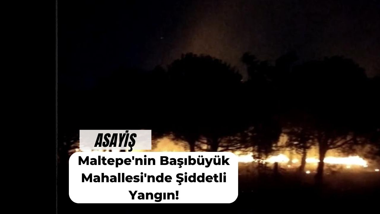 Maltepe'nin Başıbüyük Mahallesi'nde Şiddetli Yangın!