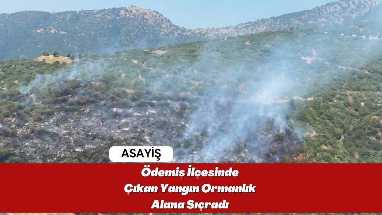 Ödemiş İlçesinde Çıkan Yangın Ormanlık Alana Sıçradı