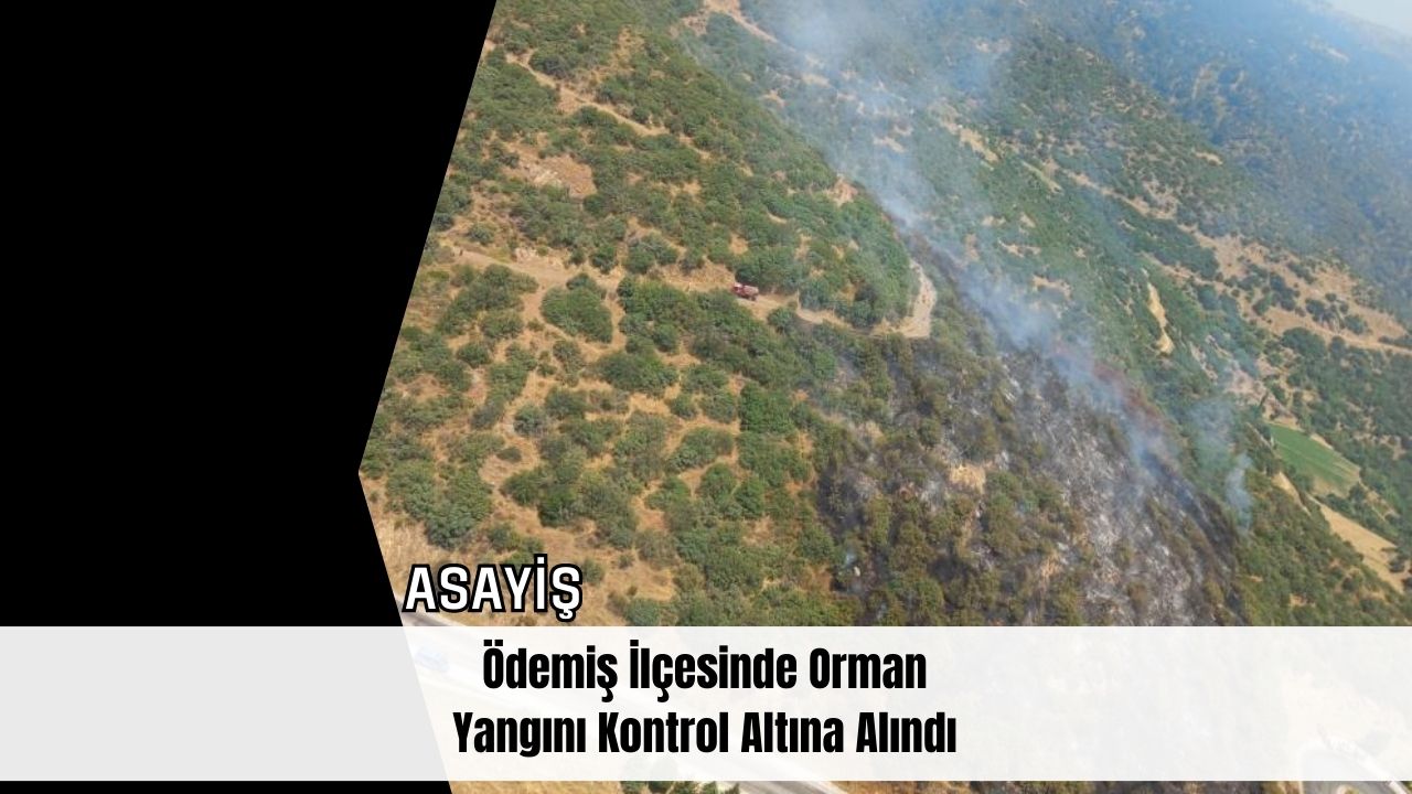 Ödemiş İlçesinde Orman Yangını Kontrol Altına Alındı