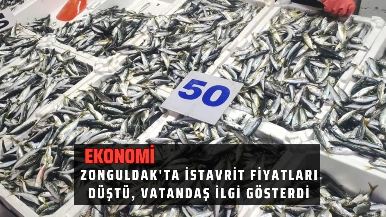 Zonguldak'ta istavrit fiyatları düştü, vatandaş ilgi gösterdi