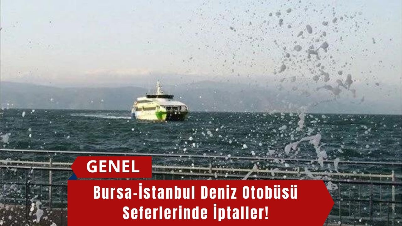 Bursa-İstanbul Deniz Otobüsü Seferlerinde İptaller!