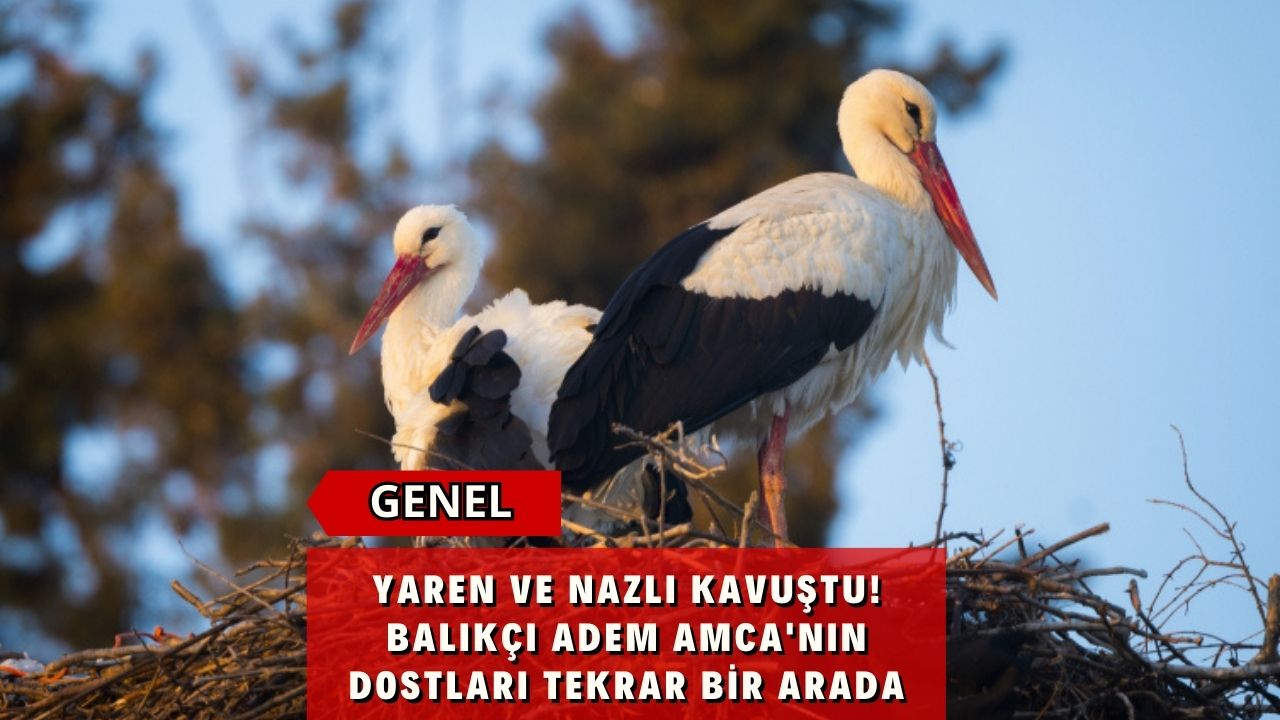 Yaren ve Nazlı Kavuştu! Balıkçı Adem Amca'nın Dostları Tekrar Bir Arada