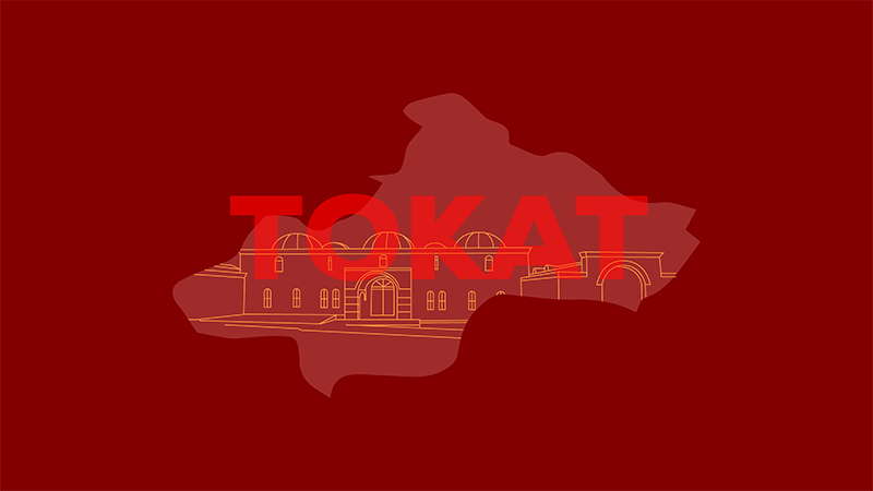 Tokat’ta orman yangını